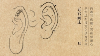 耳朵的画法